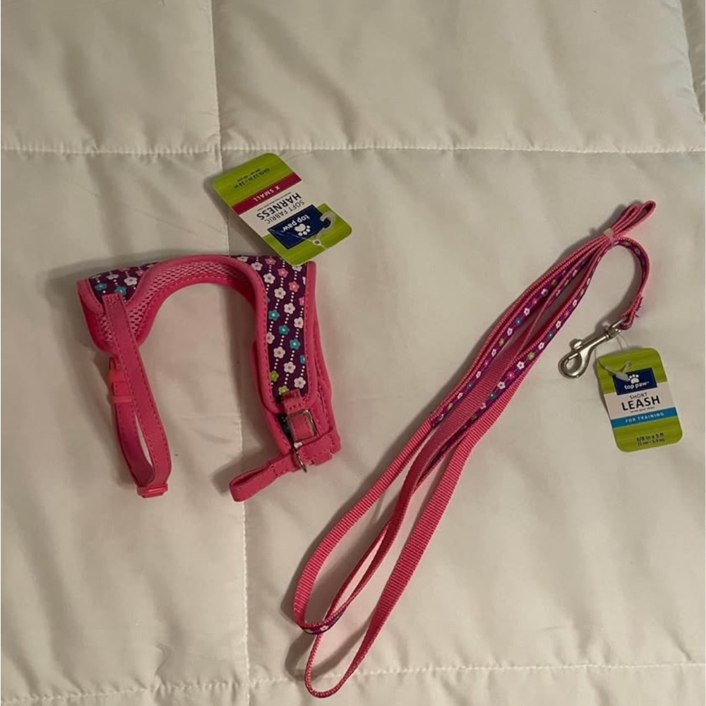 matching leash and halter set